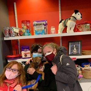 Meet your Posher, Holly